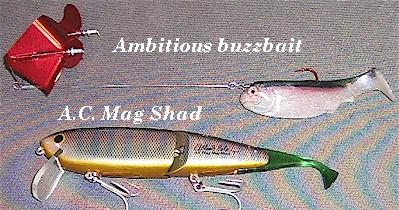 Arbogast Buzz Plug is artificial lure designed to fool bass