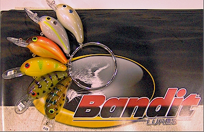 Basstackle Injector - action isn't smooth - Soft Plastics