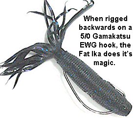 Yamamoto Fat Ika Review - Wired2Fish