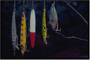 Large colorful lures are needed to tempt trophy peacock bass in Brazil.