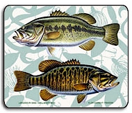bass fishing clubs