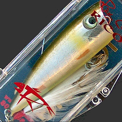 Lobina Lures Rico ~ Legendary Topwater Popper for Bass Fishing