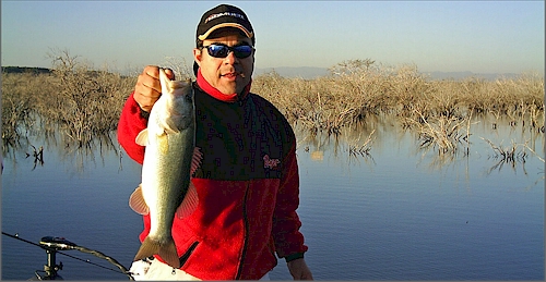 Carolina Rigging for Lobinas Grandes in Mexico — Half Past First Cast