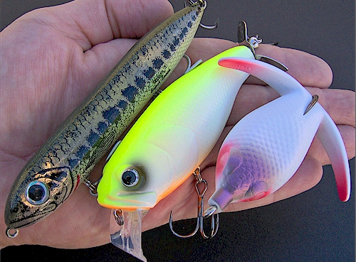Small Lures for Big Mexican Bass — Half Past First Cast