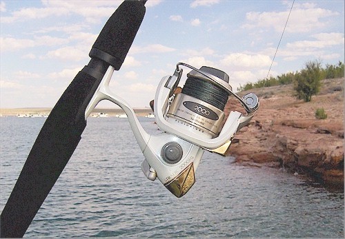 Braid size for spinning gear? - Fishing Rods, Reels, Line, and