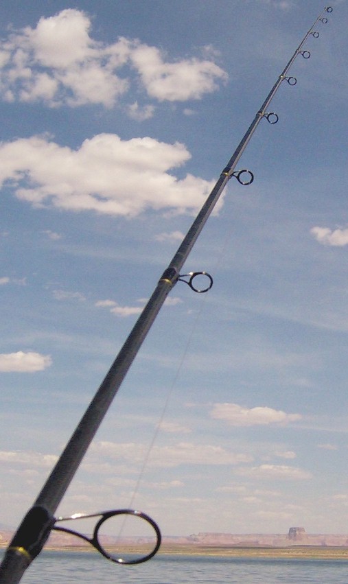 Mike Iaconelli Casting Spinning Tackle at Shoreline Cover Fishing Photo