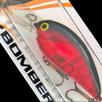 BANDIT LURES Rack-It Square-Bill Crankbait Bass Fishing Lure with Unique  Sound, Fishing Accessories, Dives 4-6 Feet Deep, 2, 5/8 oz, Pearl Black  Back