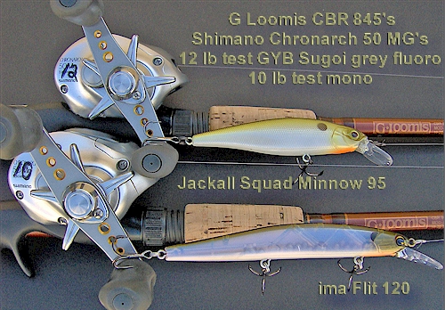 Choosing the correct jerkbait setup! #jerkbaits #bassfishing 