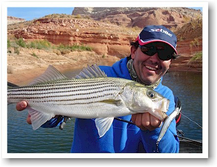 How to Fish a Crankbait Like a Pro: Everything You Need to Know - USAngler