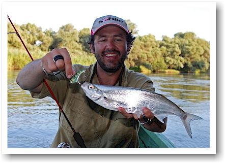 Patrick Sebile's A Band Of Anglers - FLYING CRUSHER 150 from Ocean Born.  The Flying Crusher is the flagship of Ocean Born brand and found into its  logo. Years of engineering, bait