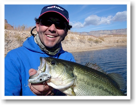 Still Fishing: An Easy-To-Follow Guide for New Anglers - USAngler